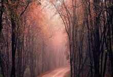 马到成功：这次是真的，奇迹发生了！